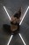 5599_445_Single2_0182_rgb_960.jpg