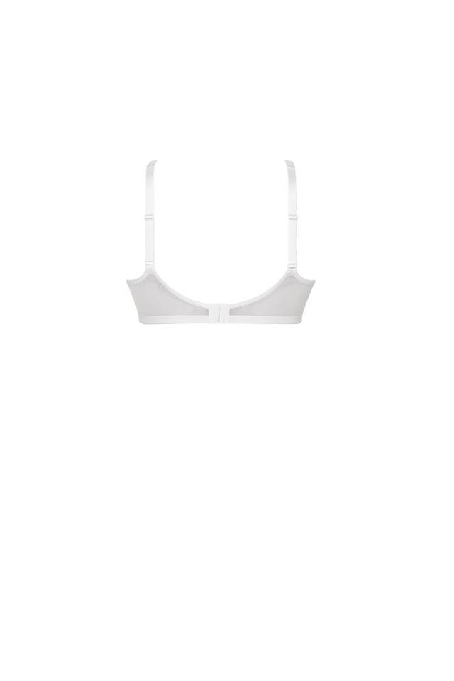 4785X_006_RS_rgb_960.jpg